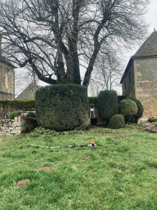 Photo de galerie - Taille 