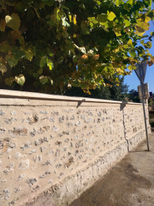 Photo de galerie - Mur pierre et enduit 