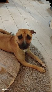 Photo de galerie - Maïa 