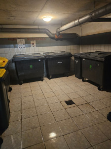 Photo de galerie - Nettoyage sol