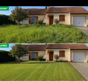 Photo de galerie - Tonte de pelouse