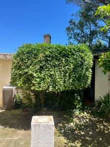 Photo de galerie - Taille 