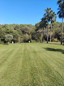 Photo de galerie - Entretien jardin