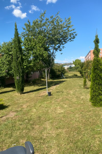 Photo de galerie - Tonte de pelouse