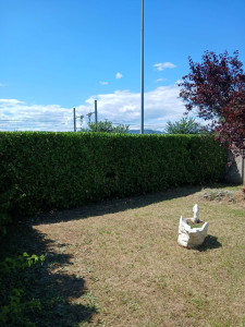 Photo de galerie - Taille de haie 