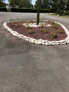 Photo de galerie - Massif de rosier avec un cyprès totems 