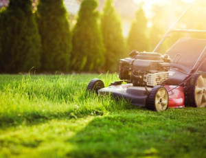 Photo de galerie - Si vous êtes équipé d'une tondeuse , d'un rotofil, d'un taille haie je peux m'occuper de votre jardin