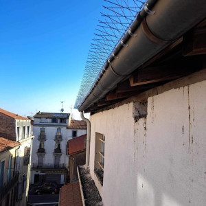 Photo de galerie - Couverture - Toiture