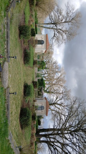 Photo de galerie - Paysagiste - Aménagement du jardin