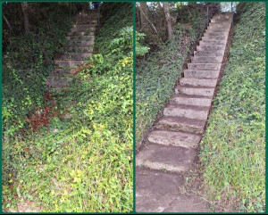 Photo de galerie - Nettoyage en bord de l'Yonne