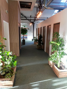 Photo de galerie - Finition de création des sanitaires 