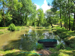 Photo de galerie - Jardinerie