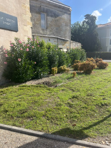 Photo de galerie - Avant intervention