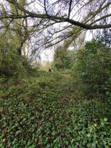 Photo de galerie - Avant