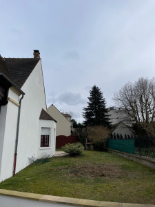 Photo de galerie - Elagage et coupe d'arbres