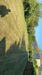 Photo de galerie - Entretien 