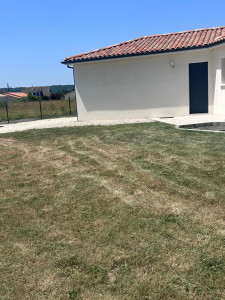 Photo de galerie - Tonte de pelouse 