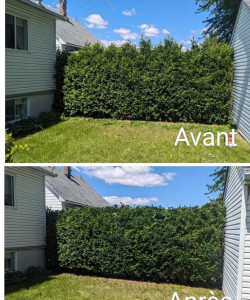 Photo de galerie - Avant et après 
