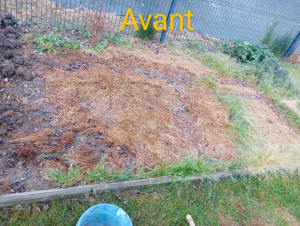 Photo de galerie - Potager avant mon intervention