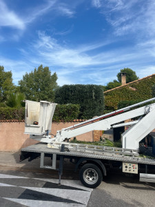 Photo de galerie - Taille d’un olivier