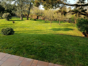 Photo de galerie - Tonte de pelouse