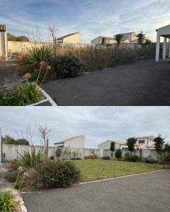 Photo de galerie - Tonte de pelouse - Débroussaillage