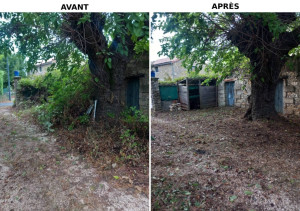 Photo de galerie - Tonte de pelouse - Débroussaillage
