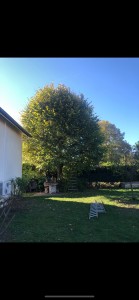 Photo de galerie - Avant 