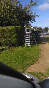 Photo de galerie - Taille de haie