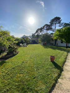 Photo de galerie - Tonte de pelouse - Débroussaillage