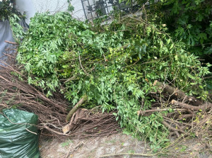 Photo de galerie - Résultat après débroussaillage : déchets regroupés proprement en tas, prêt pour l'évacuation.