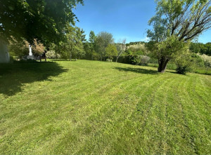 Photo de galerie - Tonte de pelouse 