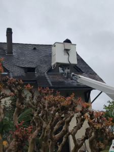 Photo de galerie - Traitement professionnel curatif et préventif 