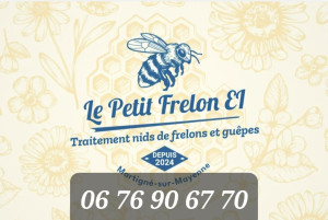 Photo de galerie - J'interviens pour le traitement de nid de frelons,  guêpes 