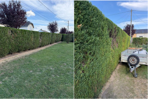 Photo de galerie - 50m de haie 