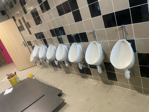 Photo de galerie - Urinaire 