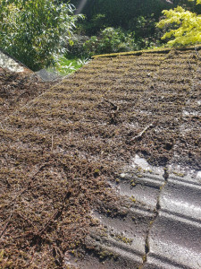 Photo de galerie - Nettoyeur haute pression / Karcher