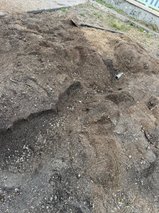 Photo de galerie - Elagage et coupe d'arbres