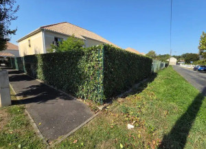 Photo de galerie - Taille de haies et d'arbustes