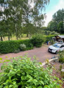 Photo de galerie - Taillage d une haie