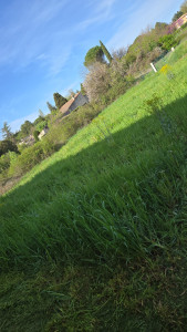 Photo de galerie - Jardin avant 