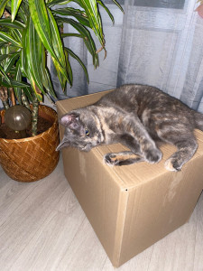 Photo de galerie - Kiki 