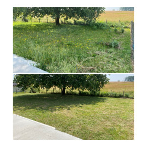 Photo de galerie - Tonte et remise en état d’un terrain 