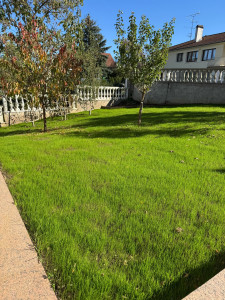 Photo de galerie - Création et semis de gazon 