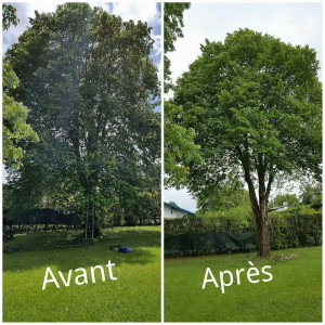 Photo de galerie - Avant et après l’intervention