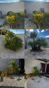 Photo de galerie - Entretient avant/apres d’un jardin chez un particulier. 