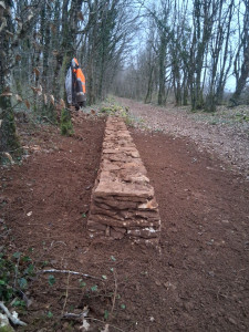 Photo de galerie - Remise en état muret en pierre sèche 