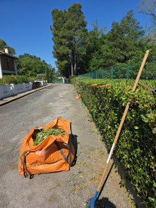 Photo de galerie - Entretien  jardin 
