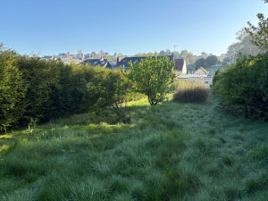 Photo de galerie - Avant /après 