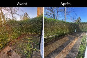 Photo de galerie - Entretien d'un jardin avec une taille de haie, du désherbage et d'un nettoyage de la terrasse au karcher.